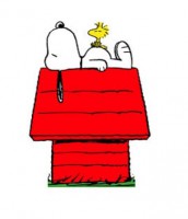 /album/adopcion-venta-o-monta/adopcion-jpg1/